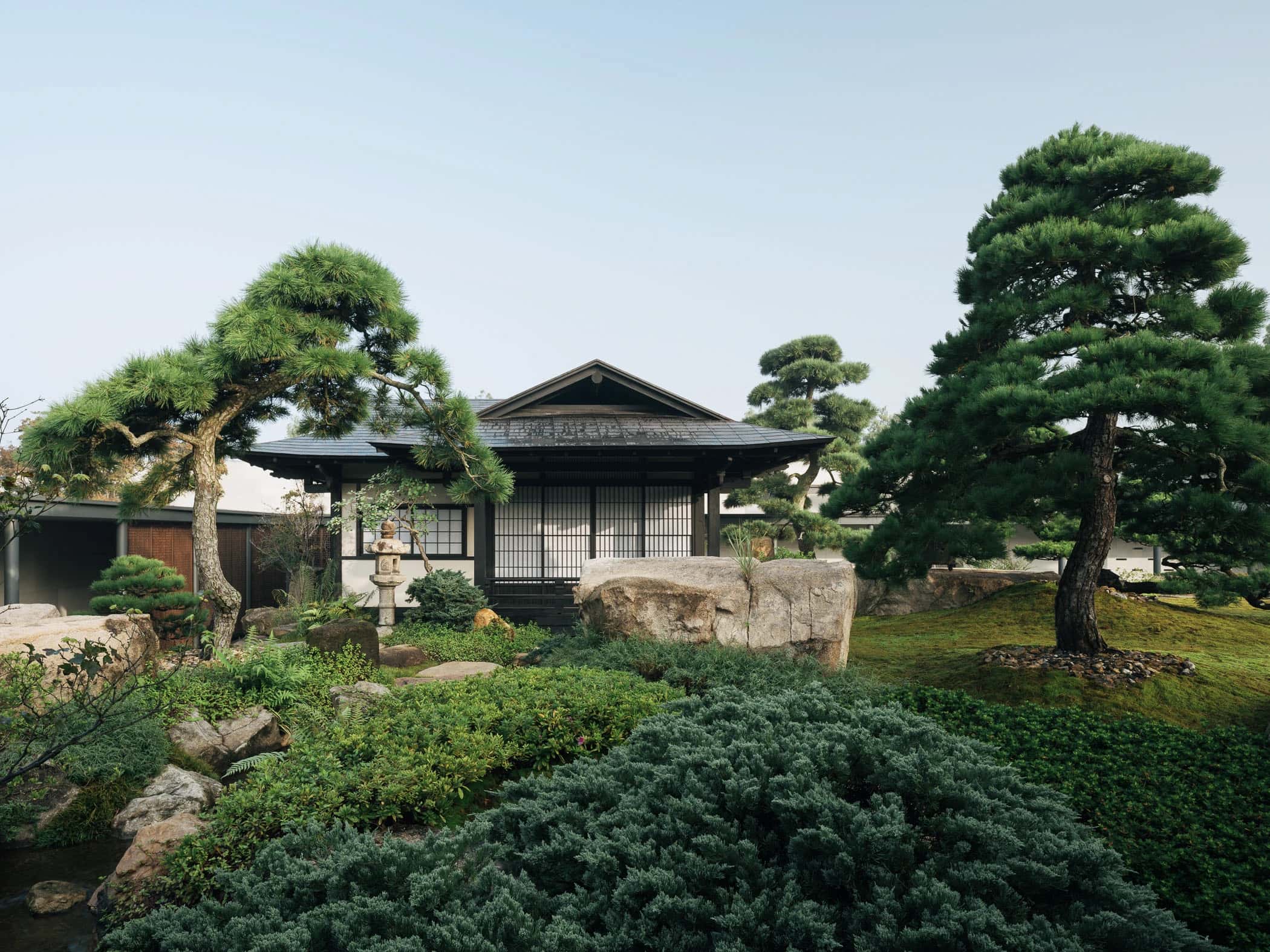 Garden No. 3|三号园林 - Xiao Tan-谭啸 - Görsel 1