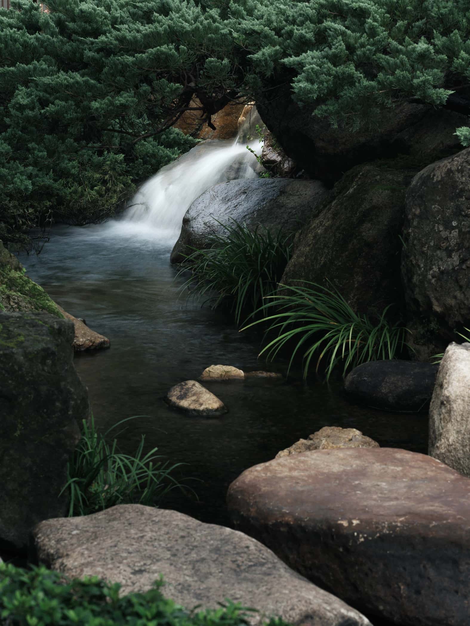 Garden No. 3|三号园林 - Xiao Tan-谭啸 - Görsel 11