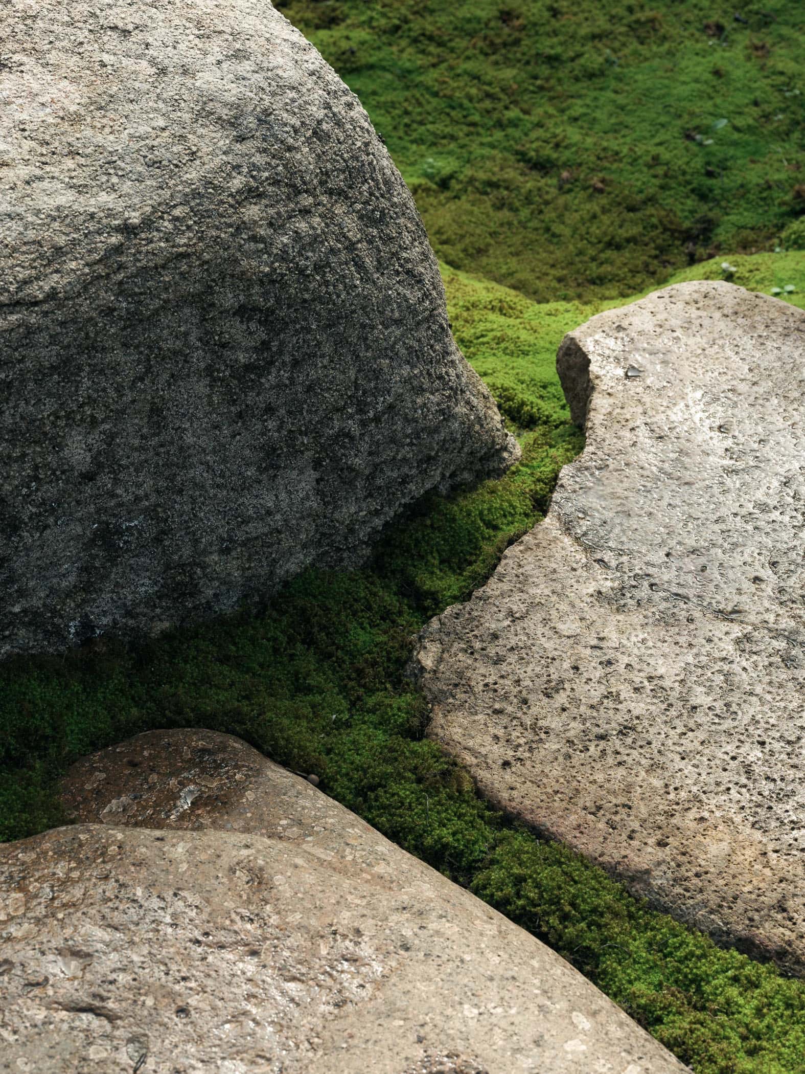 Garden No. 3|三号园林 - Xiao Tan-谭啸 - Görsel 12