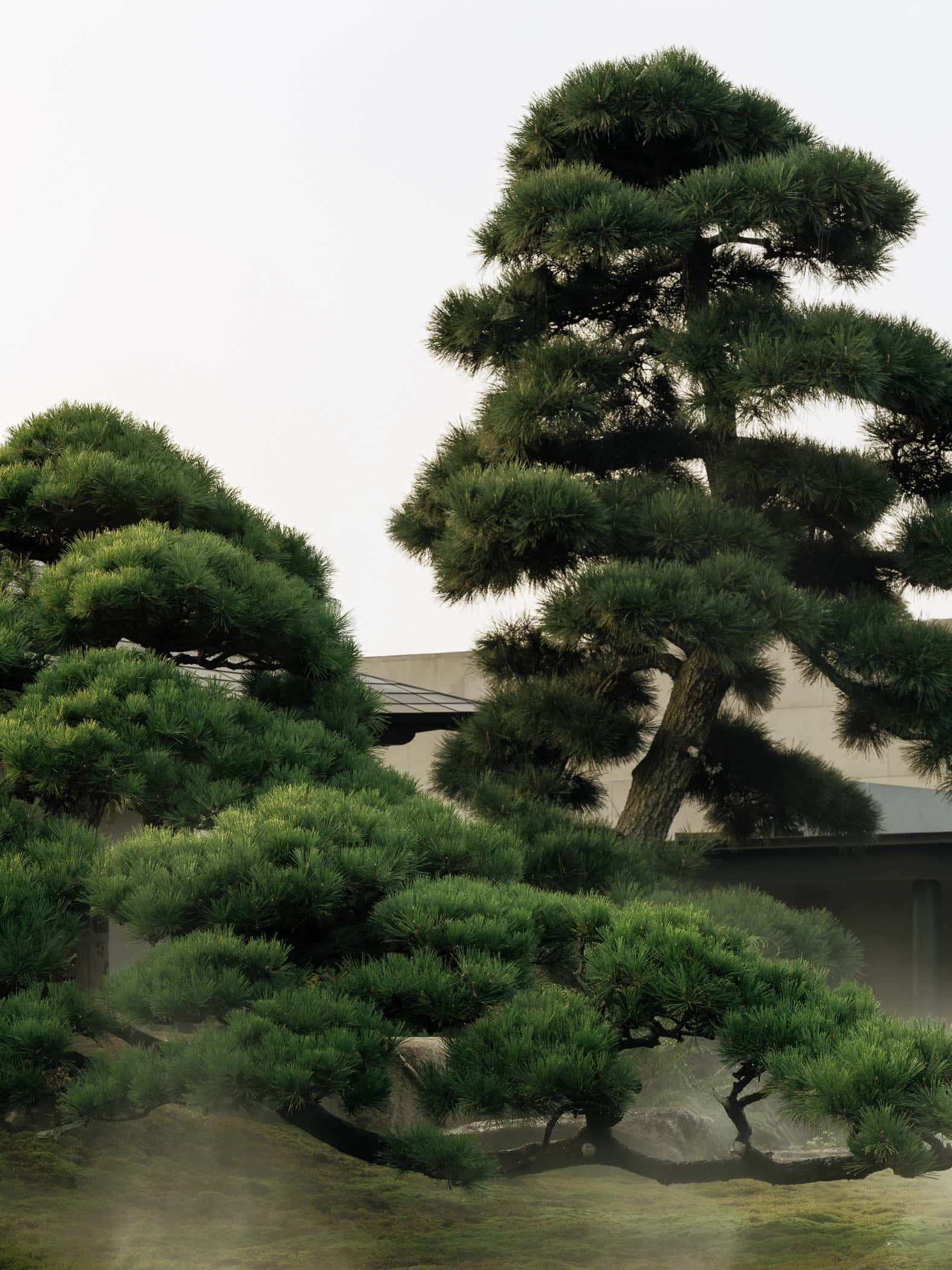 Garden No. 3|三号园林 - Xiao Tan-谭啸 - Görsel 14