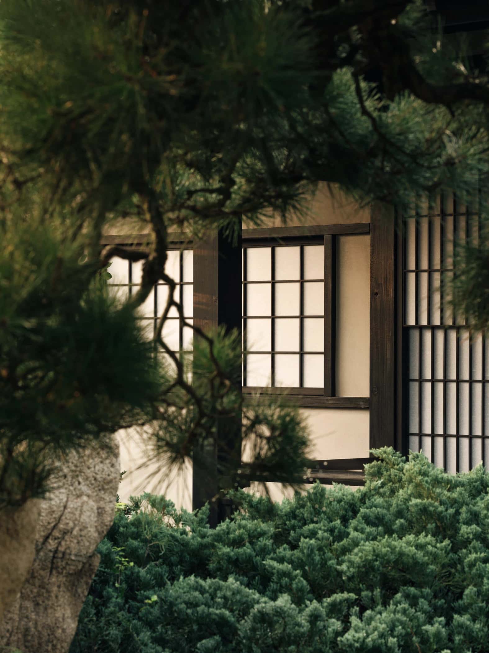 Garden No. 3|三号园林 - Xiao Tan-谭啸 - Görsel 16