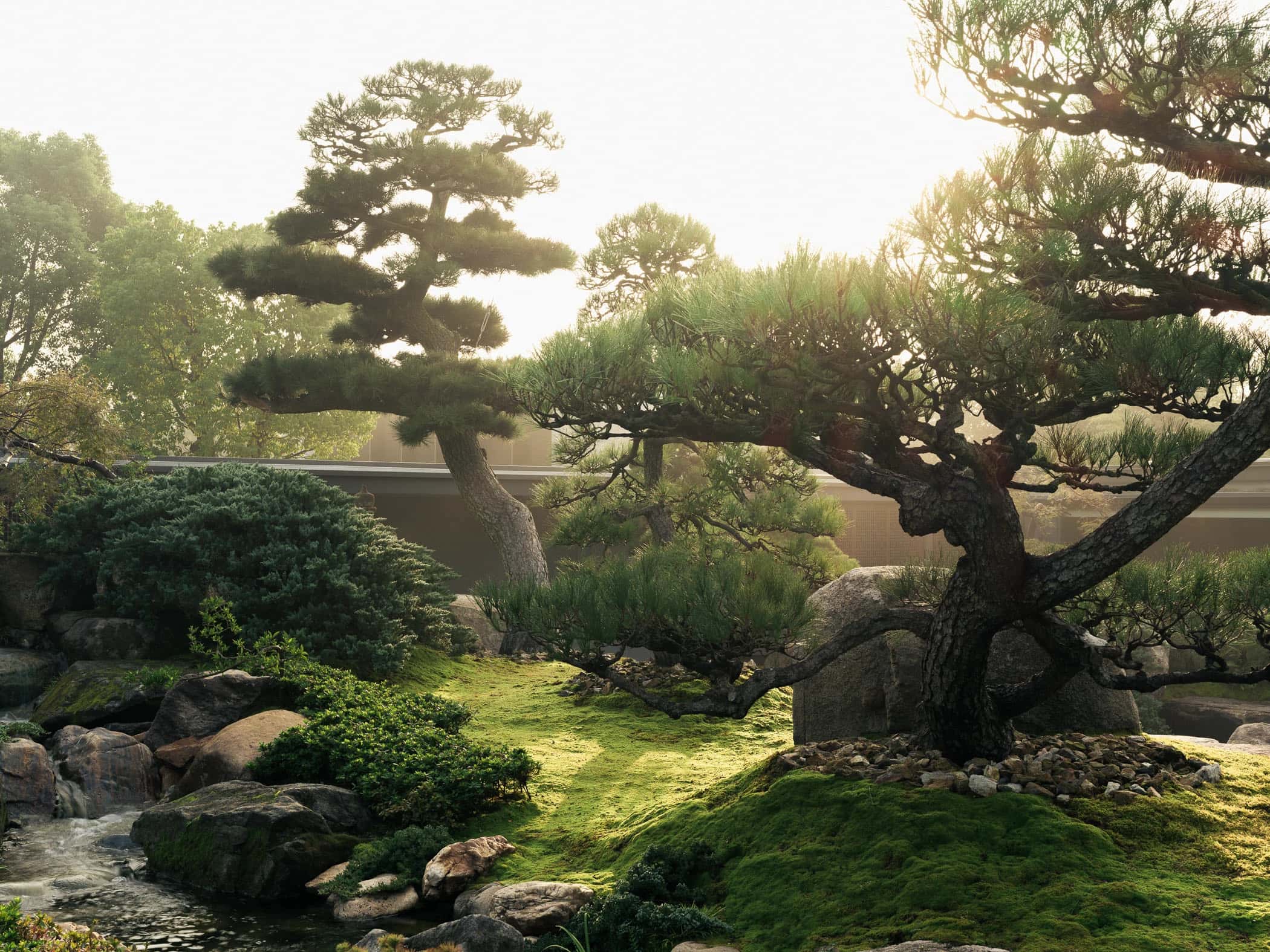 Garden No. 3|三号园林 - Xiao Tan-谭啸 - Görsel 2