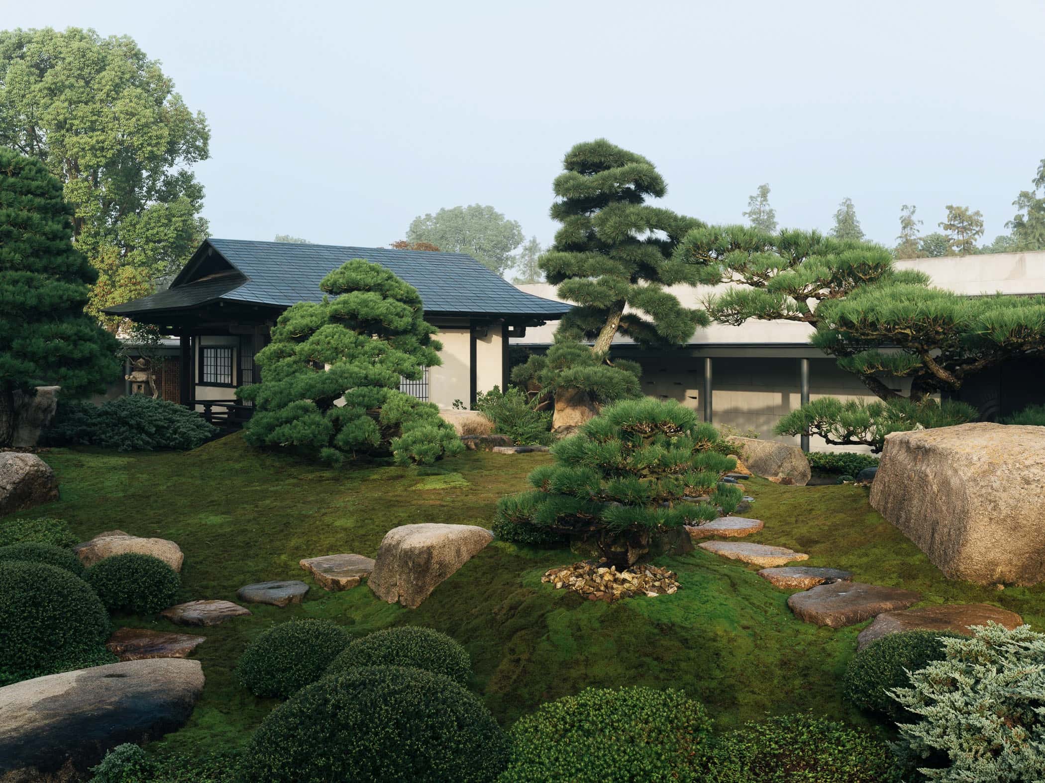 Garden No. 3|三号园林 - Xiao Tan-谭啸 - Görsel 5