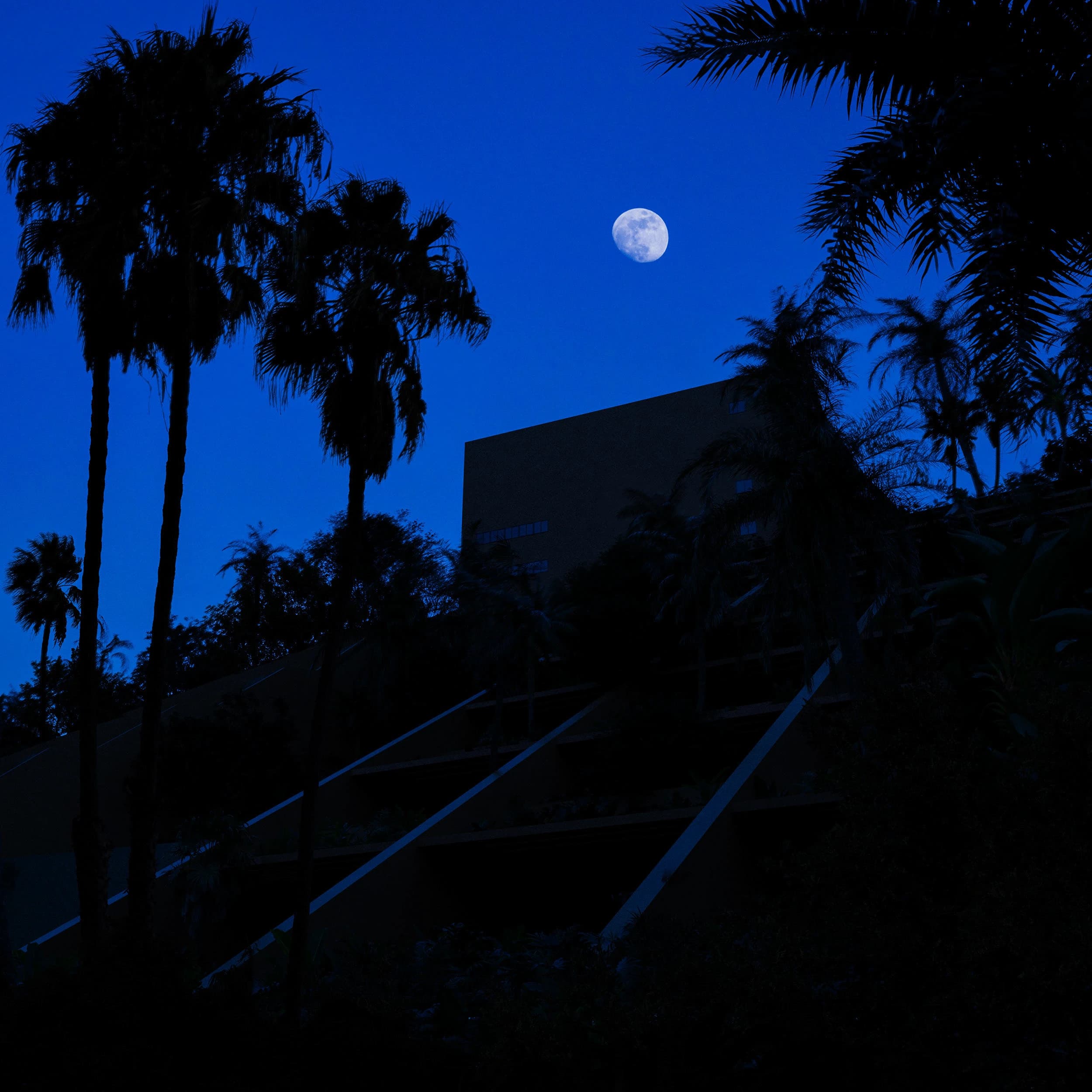 Hotel Brisas | Ixtapa Kapak Görseli