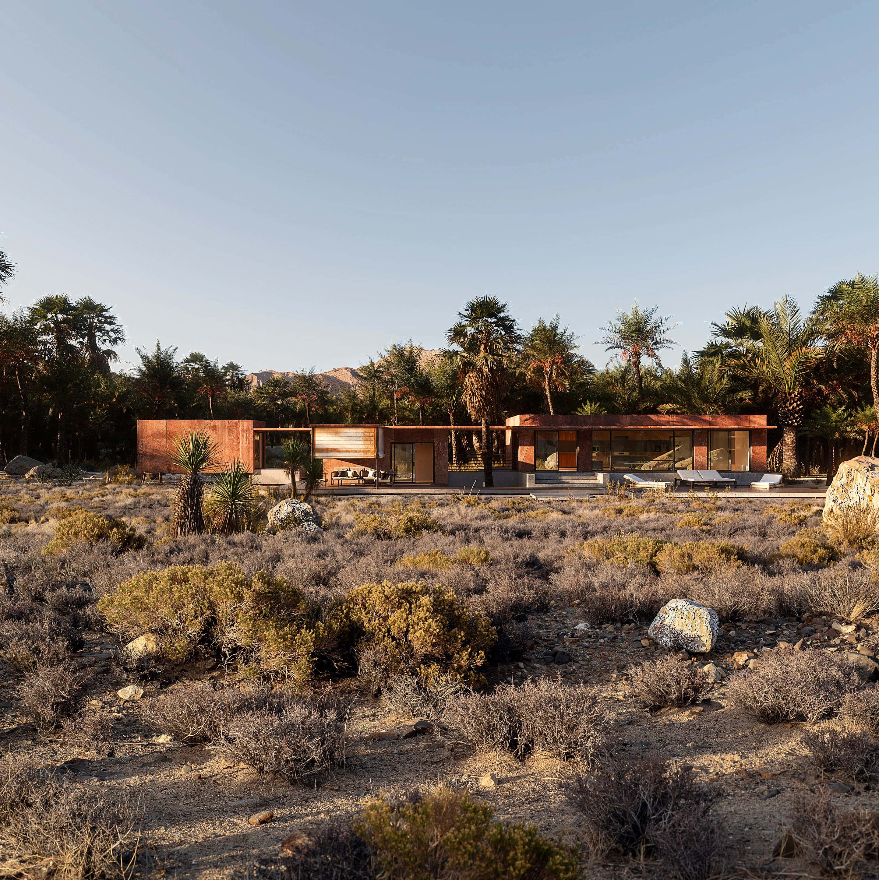 Palm House - Arthur Valente - Görsel 2