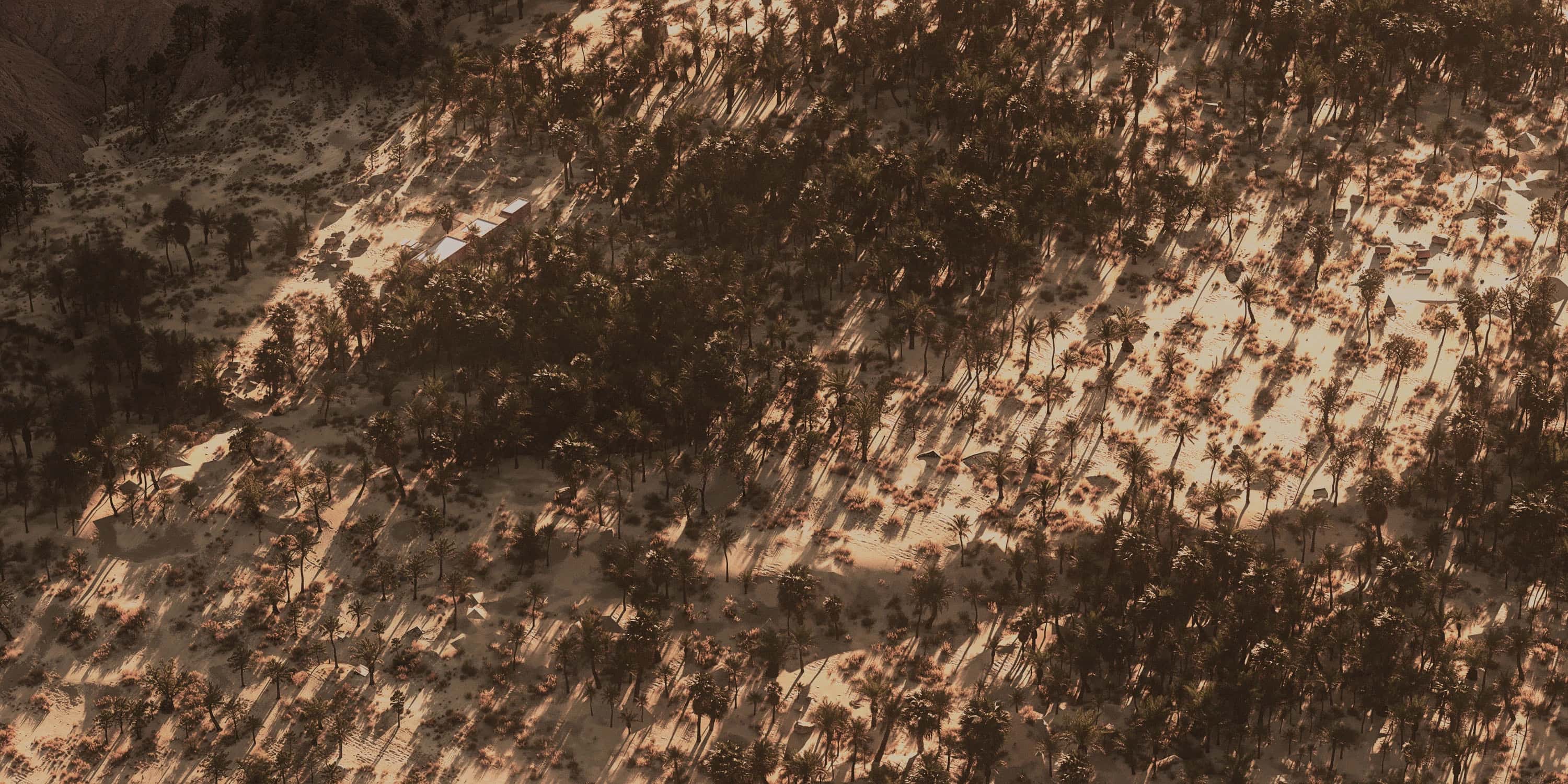 Palm House - Arthur Valente - Görsel 4