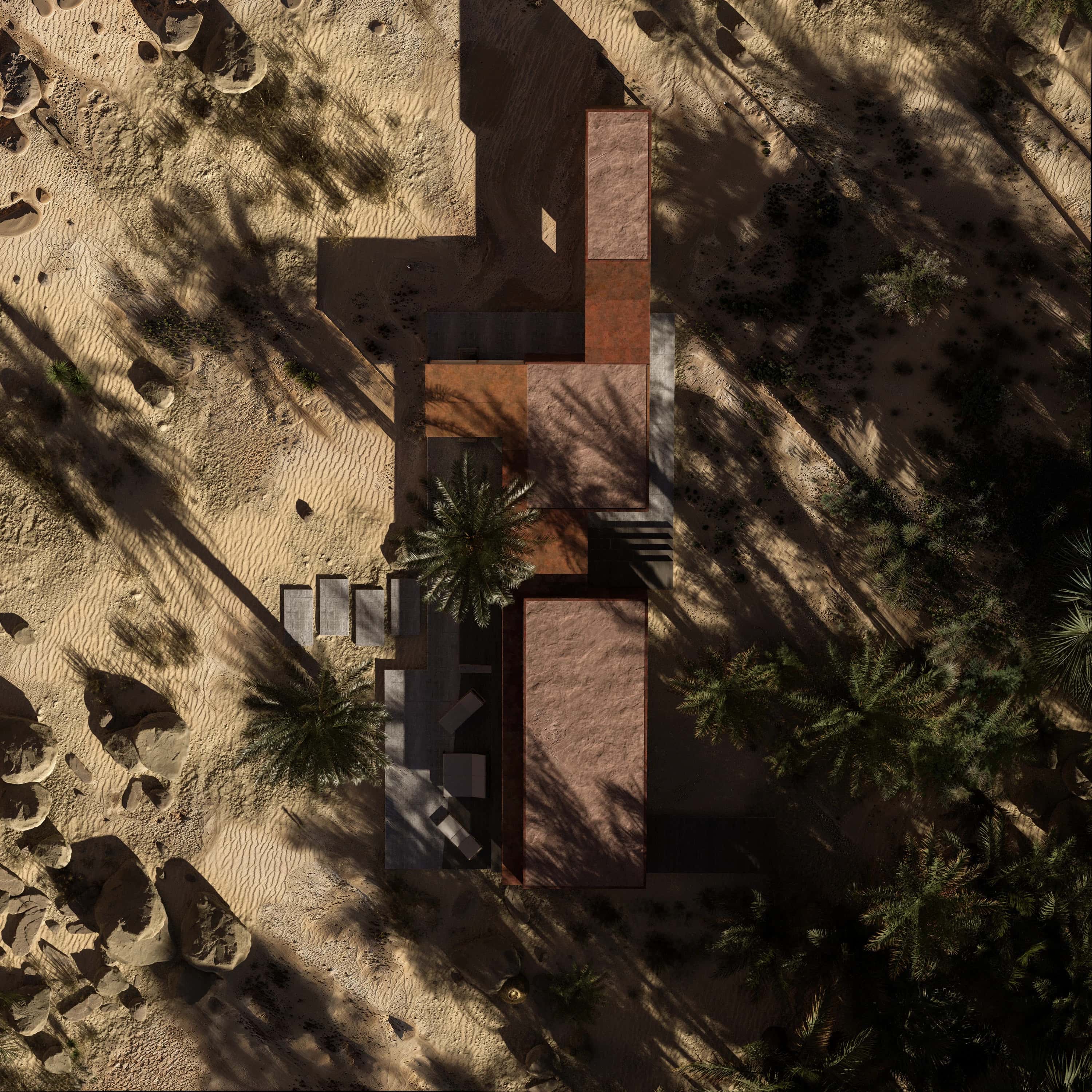 Palm House - Arthur Valente - Görsel 5