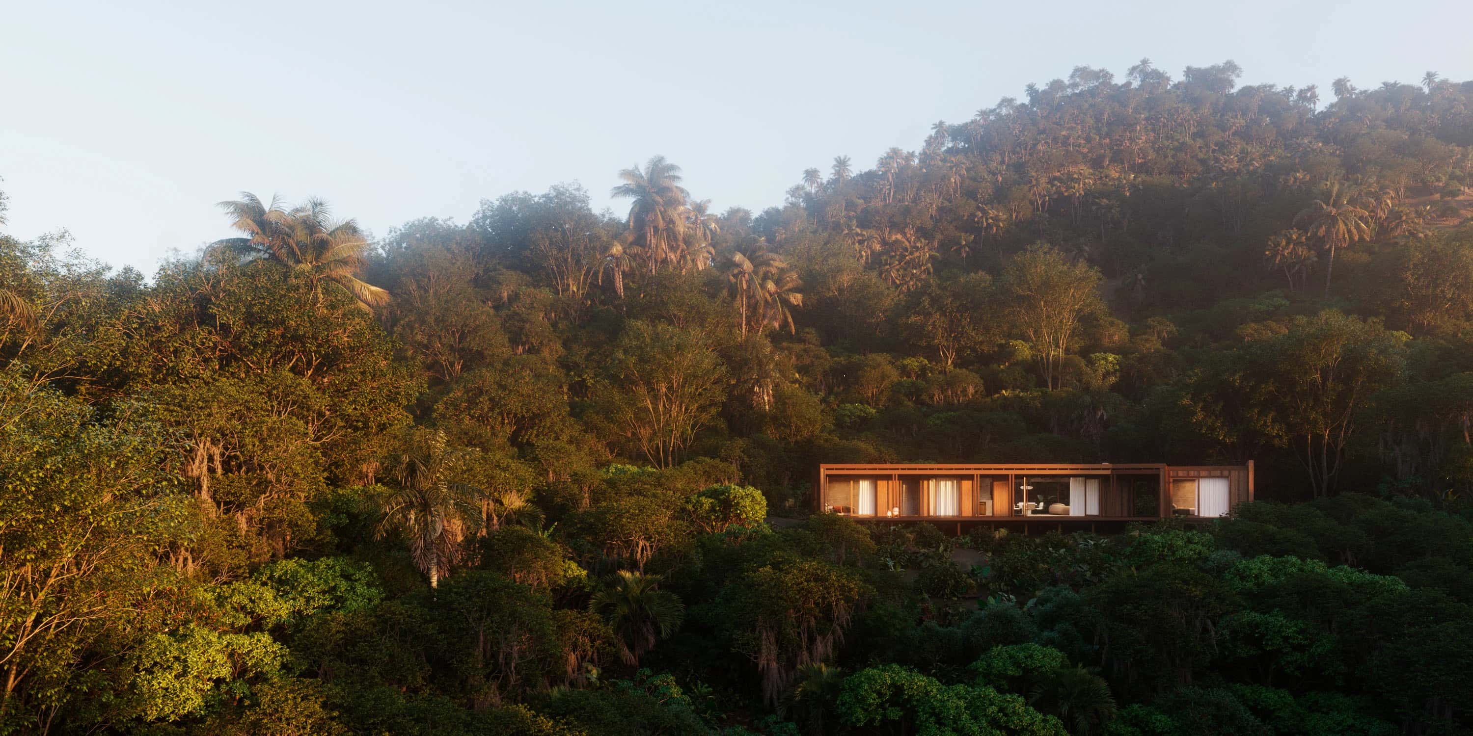 The Saga of the Biomes - Atlantic Forest - Arthur Valente - Görsel 1