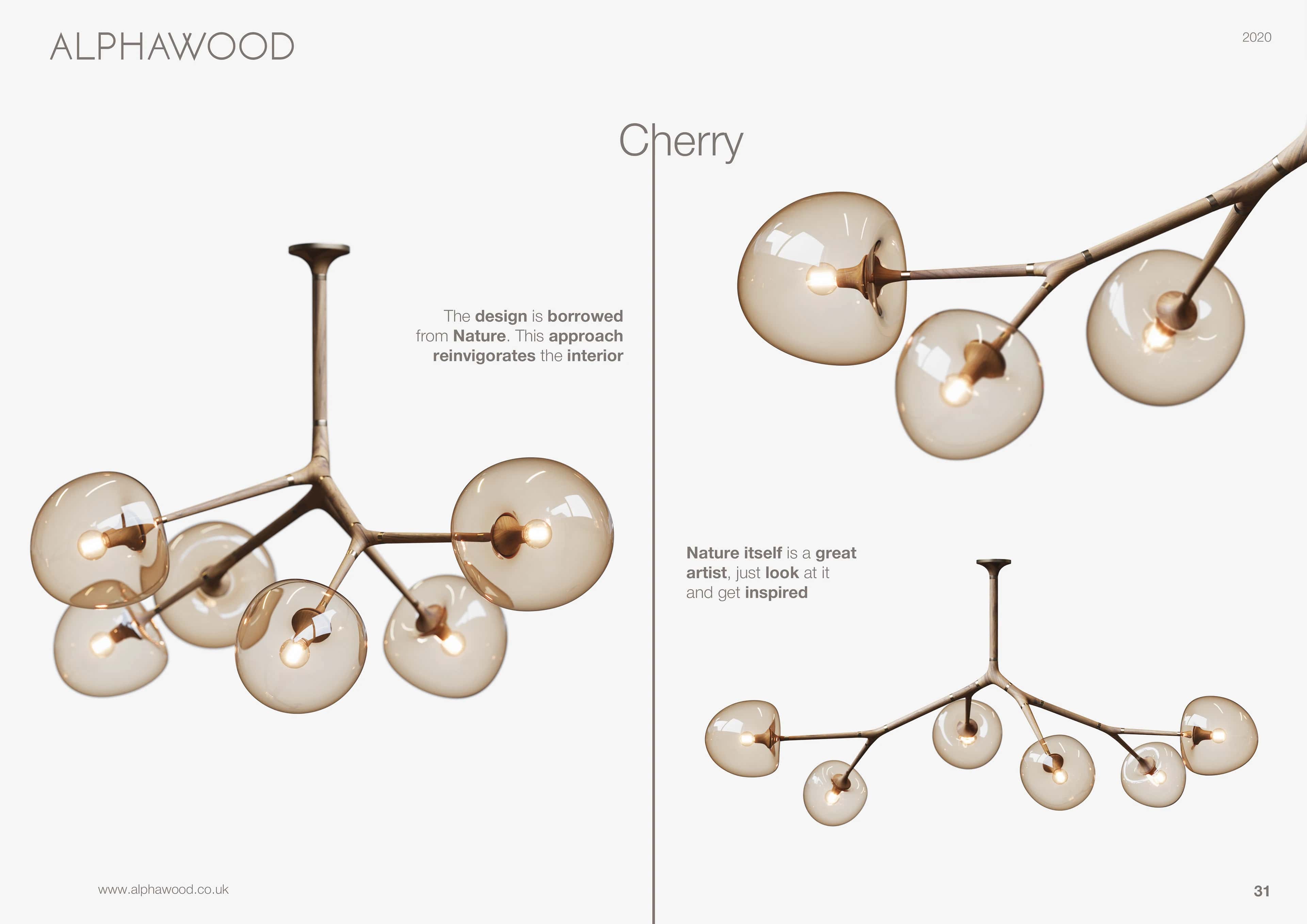 ALPHAWOOD Presentation - Görsel 25