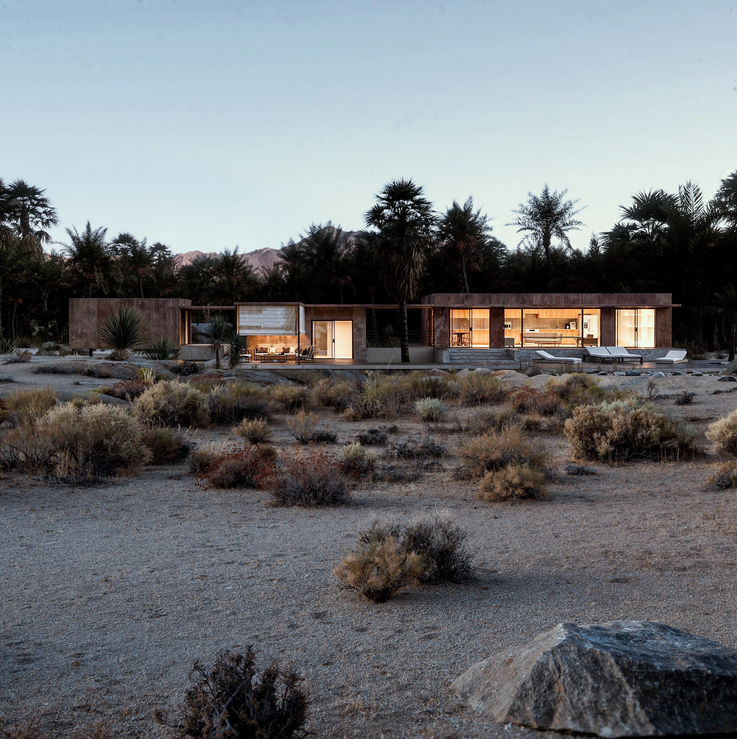 Palm House - Arthur Valente