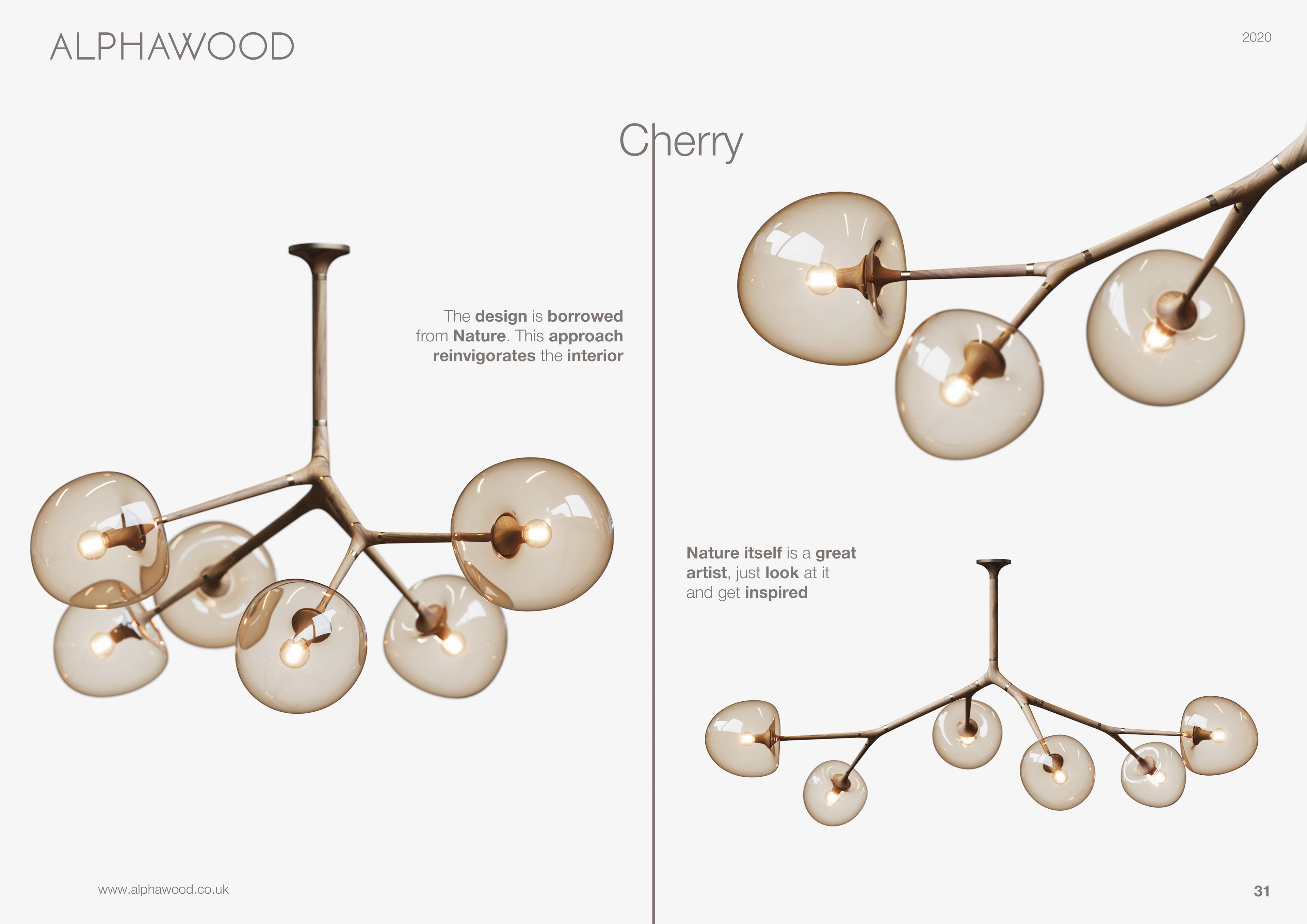 ALPHAWOOD Presentation - Görsel 25